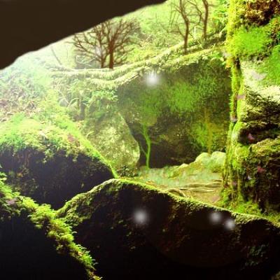 Grotte