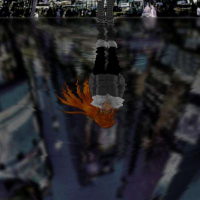 Reflets